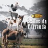 Éxitos de Parranda