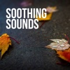 Soothing Sounds