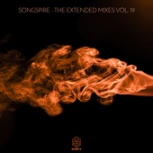 Songspire Records – The Extended Mixes Vol. 19 artwork