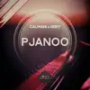 Pjanoo - Single album lyrics, reviews, download