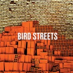 Bird Streets - Betting on the Sun