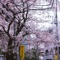 garden (feat. Trxxshed) - Kibishi lyrics
