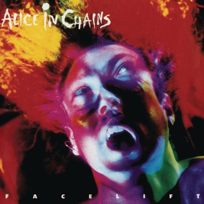 Alice In Chains Lyrics Playlists Videos Shazam