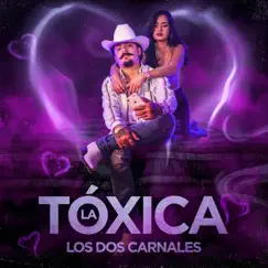 La Tóxica Song Lyrics