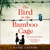 Hazel Gaynor - The Bird in the Bamboo Cage artwork