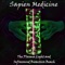 The Plasma Light and Infrasound Bioactive Beach - Sapien Medicine lyrics