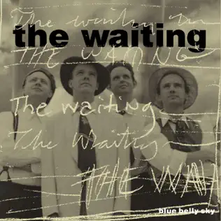 lataa albumi Download The Waiting - Blue Belly Sky album