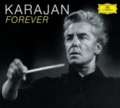 Karajan Forever 2008 artwork