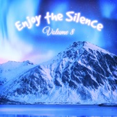 Enjoy the Silence, Vol. 8 artwork