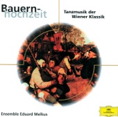 Sinfonia in D Major "Die Bauernhochzeit" (Peasant Wedding): I. Marcia villanesca artwork
