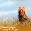 Relaxing Music Therapy for Dogs: Improve Wellbeing and Mental Health for Your Dog