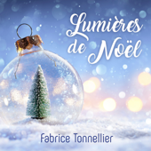 Lumières de Noël - Fabrice Tonnellier