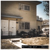 Rotting Out - Thief