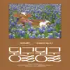As Spring of idle idle passes by - Single album lyrics, reviews, download