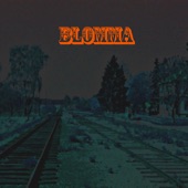 Blomma artwork
