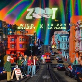 Zoot (feat. Trizzylaflame) artwork