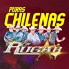 Puras Chilenas - EP