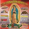 Grupo Ju-Juy Barulera - Verdulera
