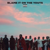 Blame It On the Youts artwork