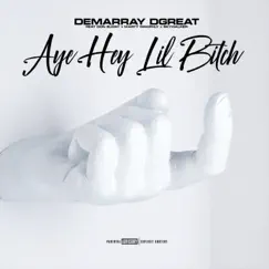 Aye Hey Lil Bitch (feat. Don Elway, Marty Mcphly & Skywalker) - Single by Demarray Dgreat album reviews, ratings, credits