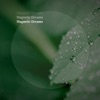 Together in Magnetic Dreams - Single