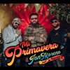 Mi Primavera (feat. La Reforma) - Single