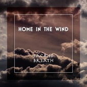 Home In the Wind artwork