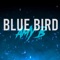 Blue Bird: Naruto Shippuden (feat. Jack Bailey) - Amy B lyrics