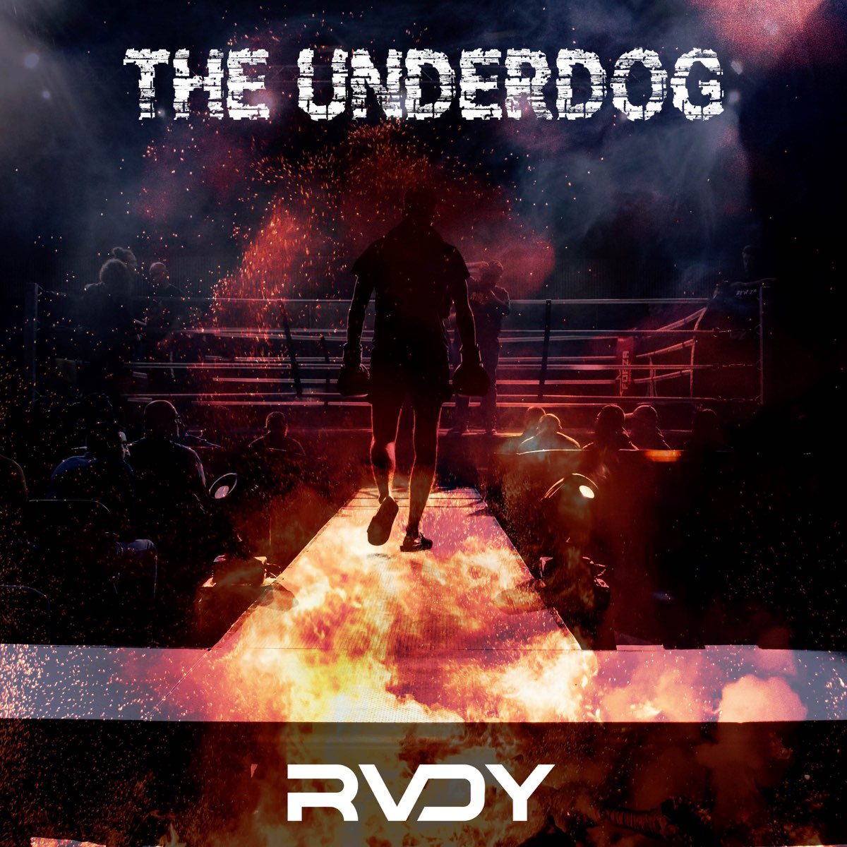 Remember (Instrumental) от the Underdog Project.