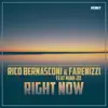 Right Now (feat. Mink Jo) [Remixes] album lyrics, reviews, download