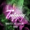 Trippy (feat. Juicy J & Tay Don) - Young A lyrics