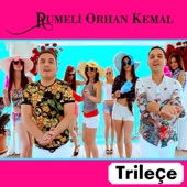 Trileçe artwork