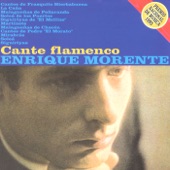 Cante Flamenco artwork