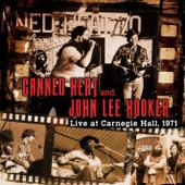 Live at Carnegie Hall 1971 (Live) [with John Lee Hooker] artwork