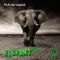 Elefant - FLA da Liquid lyrics