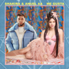 Me Gusta - Shakira & Anuel AA