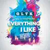 Everything I Like (feat. DJ Goldfingers) [Remix] - Single album lyrics, reviews, download