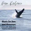 Music for Spa and Massage: Piano with Whale Song, Dolphins and Seabirds album lyrics, reviews, download