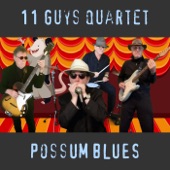 Possum Blues artwork