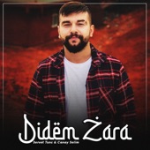 Didem Zara (feat. Canay Selim) artwork