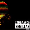 Semillas Reggae - Llévame