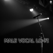Male Vocal Lo-Fi artwork