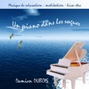 Un piano dans les vagues, 2010