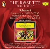 Schubert: Impromptus D. 899 & 935 & Moments Musicaux D. 780 & Piano Sonatas artwork