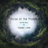 Pulse of the Planet artwork