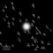 Les Oiseaux - Ricko Deepside lyrics