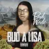Bud a Lisa album lyrics, reviews, download