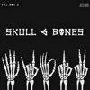 Skull & Bones artwork