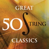 Serenade for String Orchestra in E Minor, Op. 20: III. Allegretto artwork