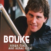 Bouke Sings Elvis And Other Hits artwork